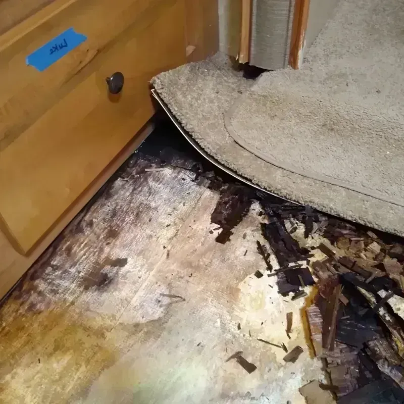 Best Wood Floor Water Damage Service in Jackson County, FL